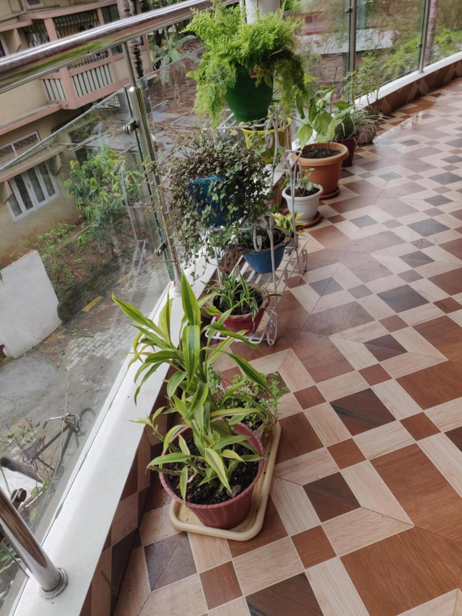 غاواهاتي Bandana'S Bed & Breakfast المظهر الخارجي الصورة